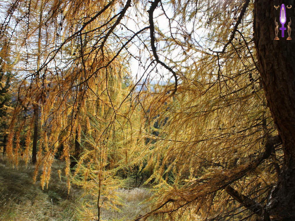 Croix de Lumière, Photo de la Série K No 99 