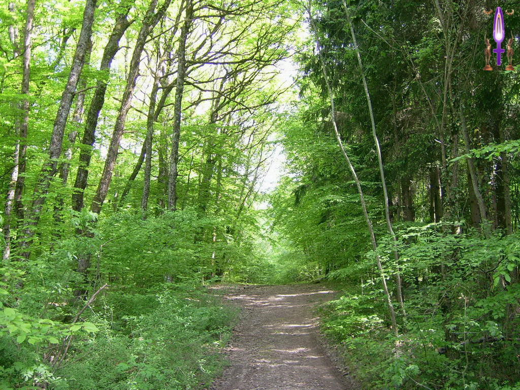Croix de Lumière, Photo de la Série K No 100 