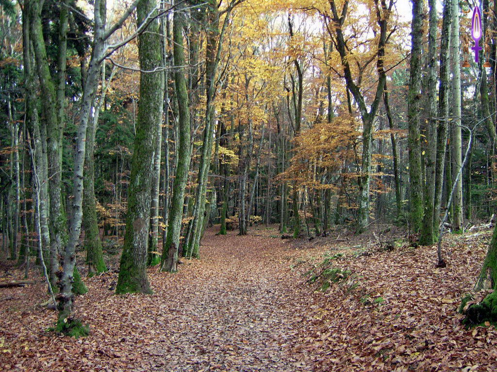 Croix de Lumière, Photo de la Série K No 102 