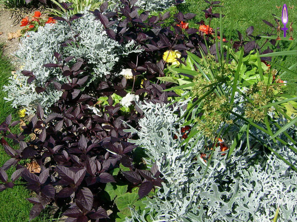 Croix de Lumière, Photo de la Série K No 105 