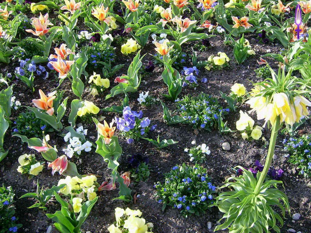 Croix de Lumière, Photo de la Série K No 106 