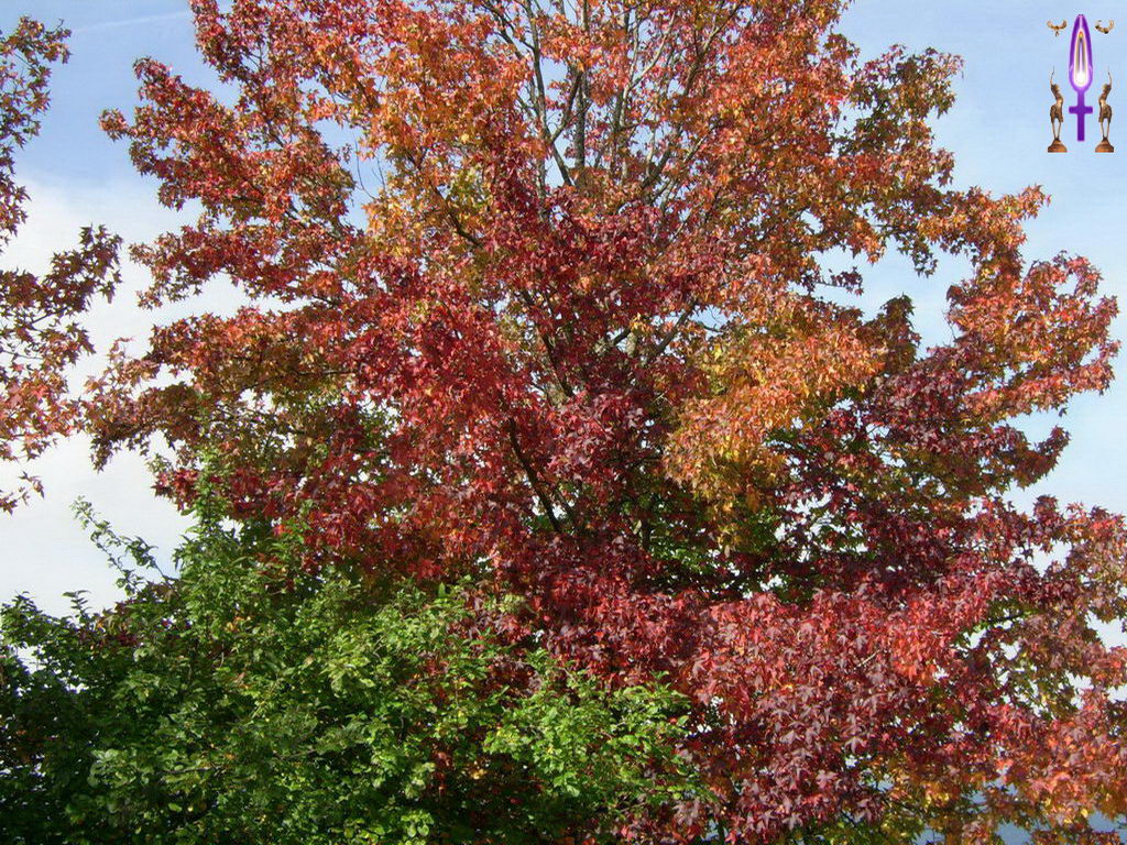 Croix de Lumière, Photo de la Série K No 107 