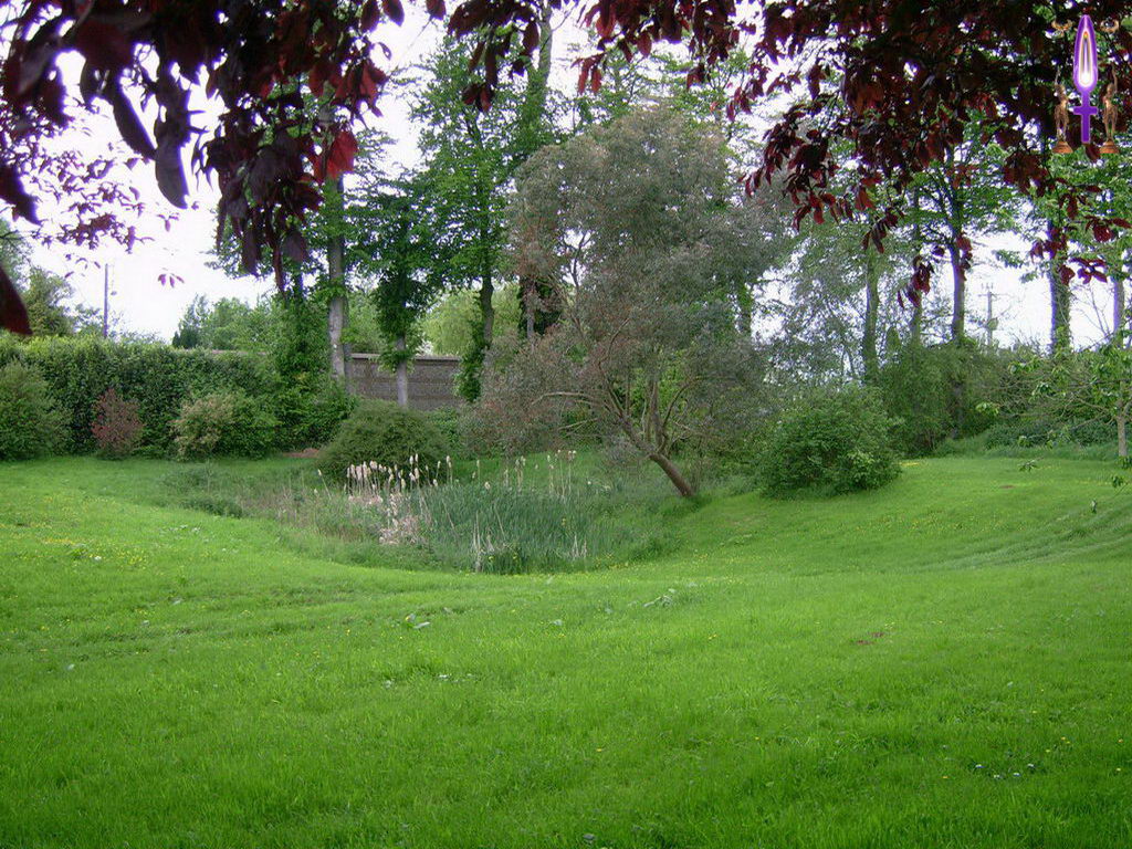 Croix de Lumière, Photo de la Série L No 19 