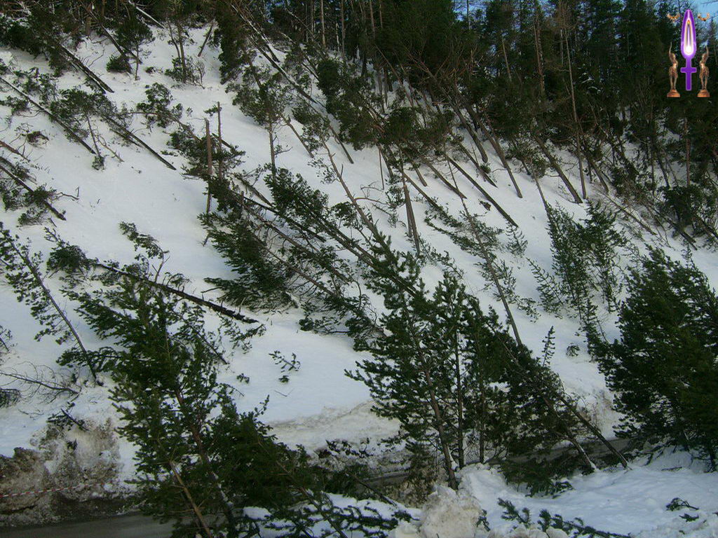 Croix de Lumière, Photo de la Série L No 23 