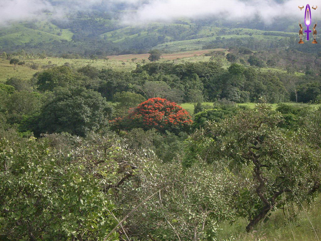 Croix de Lumière, Photo de la Série L No 24 