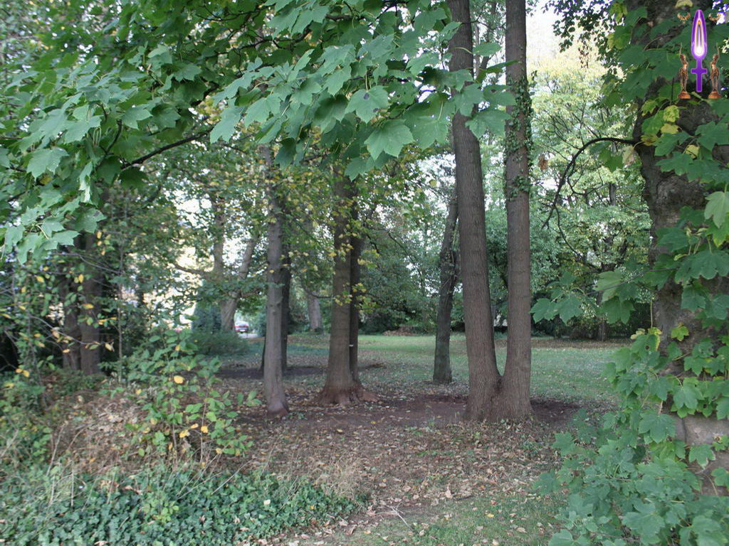 Croix de Lumière, Photo de la Série L No 28 