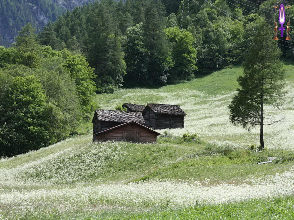 Croix de Lumière, Photo de la Série L No 31 