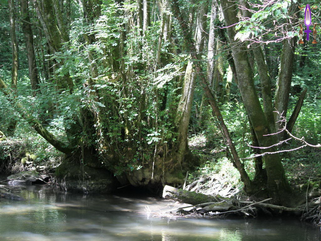 Croix de Lumière, Photo de la Série L No 32 
