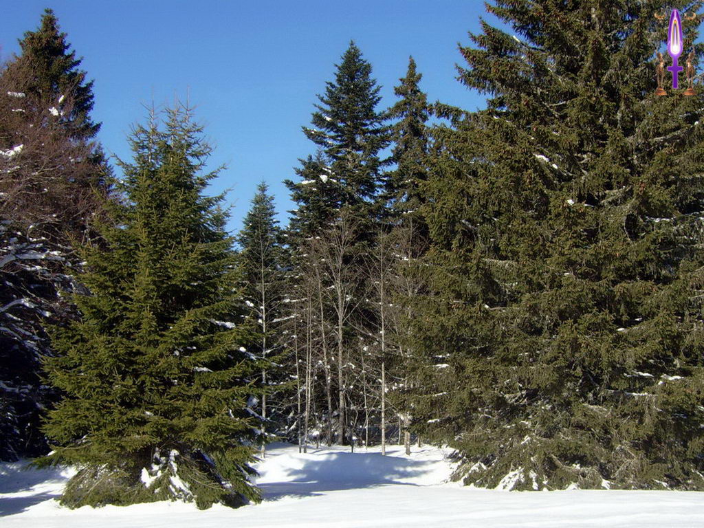 Croix de Lumière, Photo de la Série L No 35 