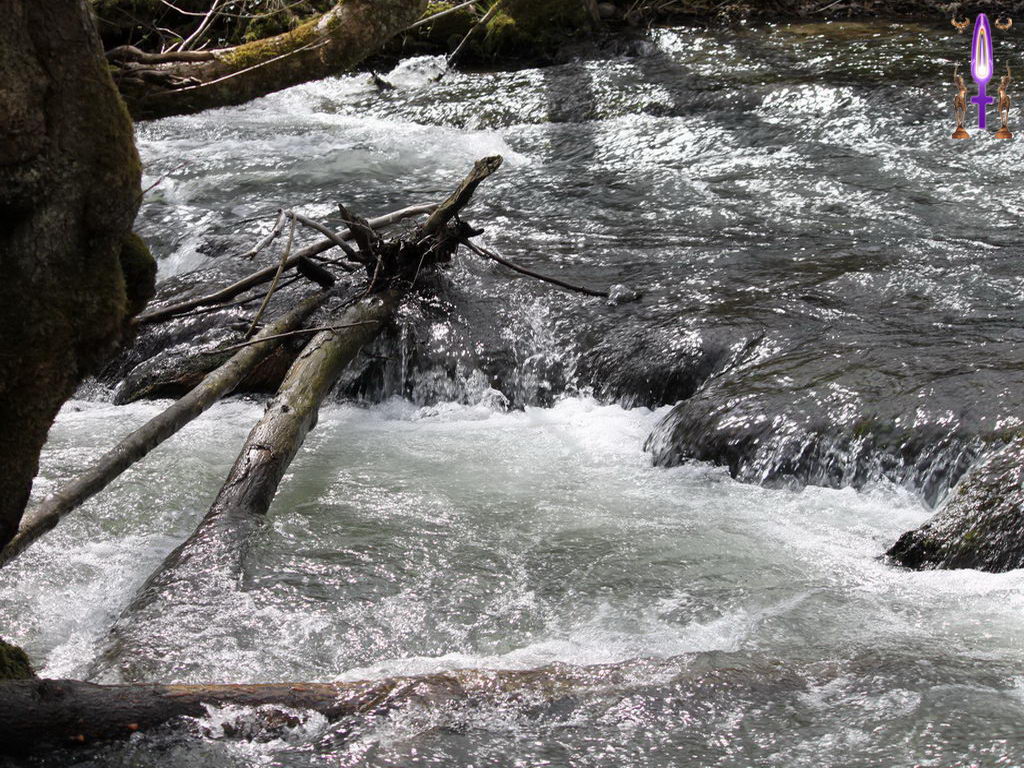 Croix de Lumière, Photo de la Série L No 36 