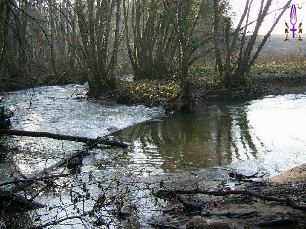 Croix de Lumière, Photo de la Série L No 41 