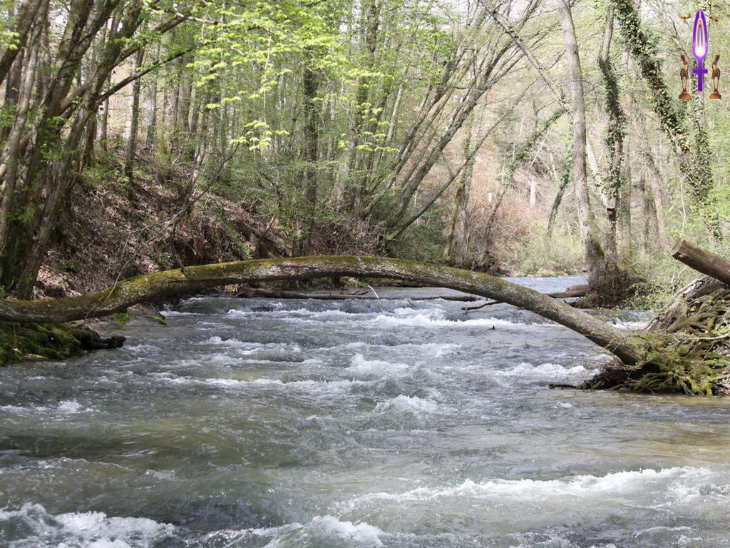 Croix de Lumière, Photo de la Série L No 43 