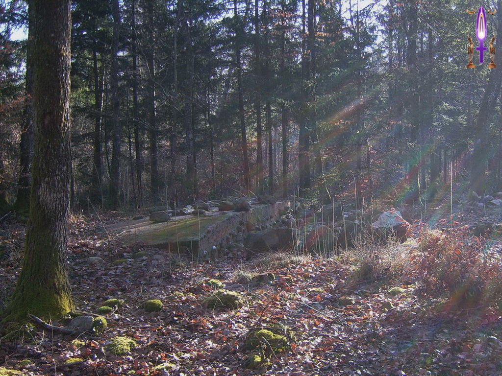 Croix de Lumière, Photo de la Série L No 45 