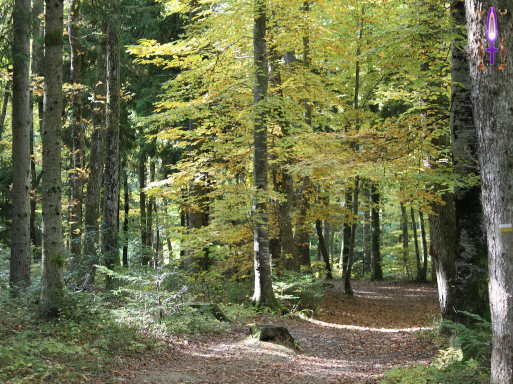 Croix de Lumière, Photo de la Série L No 57 