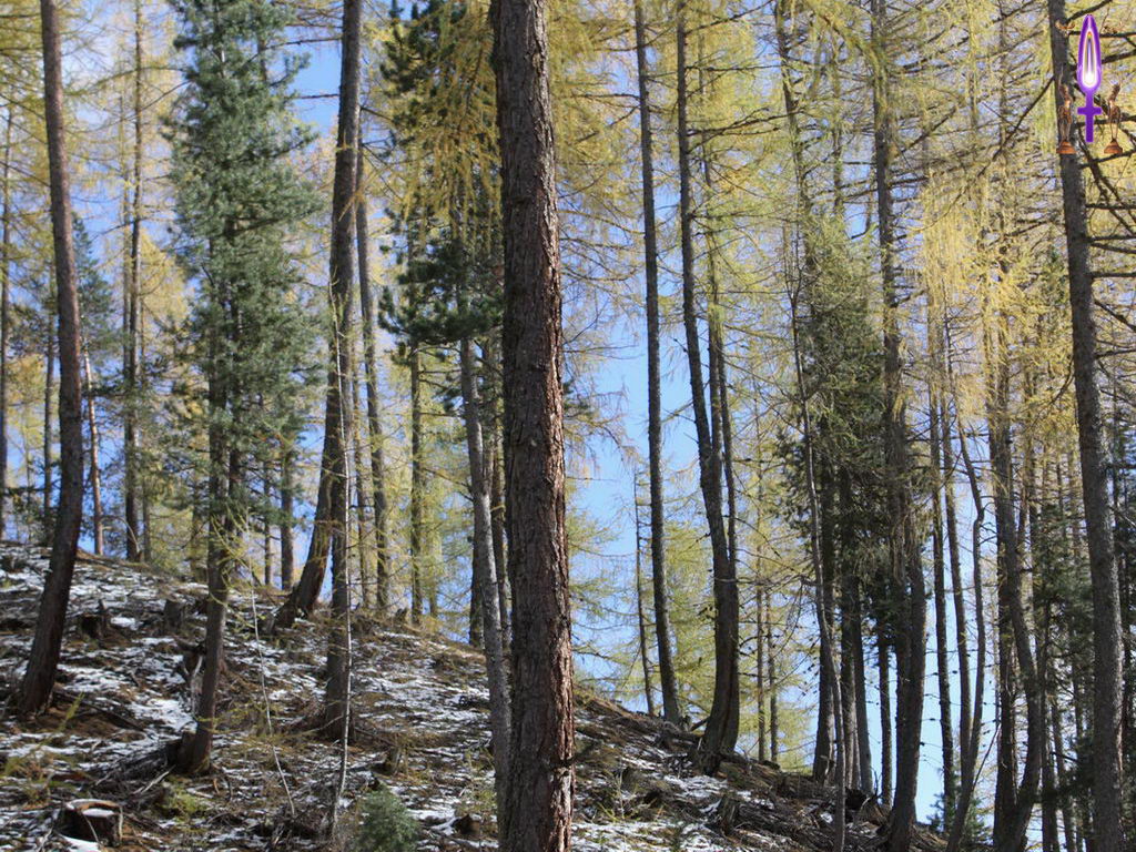 Croix de Lumière, Photo de la Série L No 010 