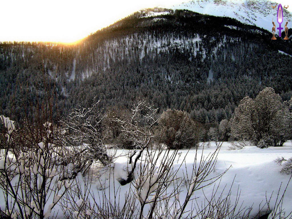 Croix de Lumière, Photo de la Série L No 61 