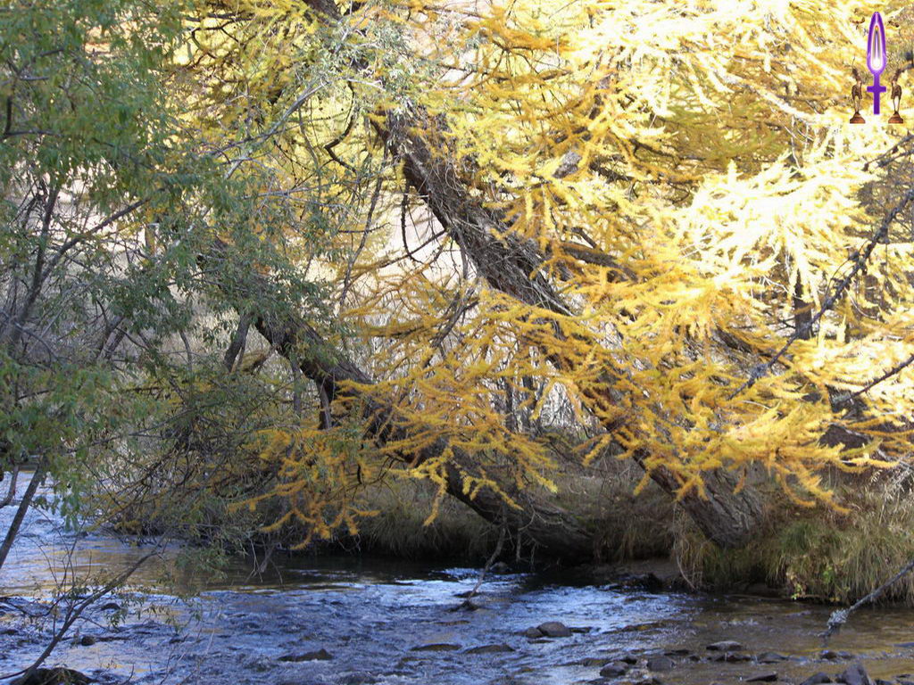 Croix de Lumière, Photo de la Série L No 64 