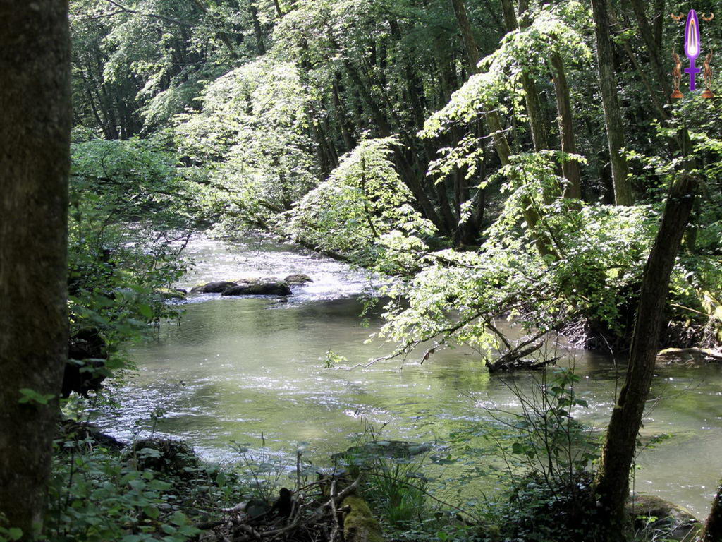 Croix de Lumière, Photo de la Série L No 65 