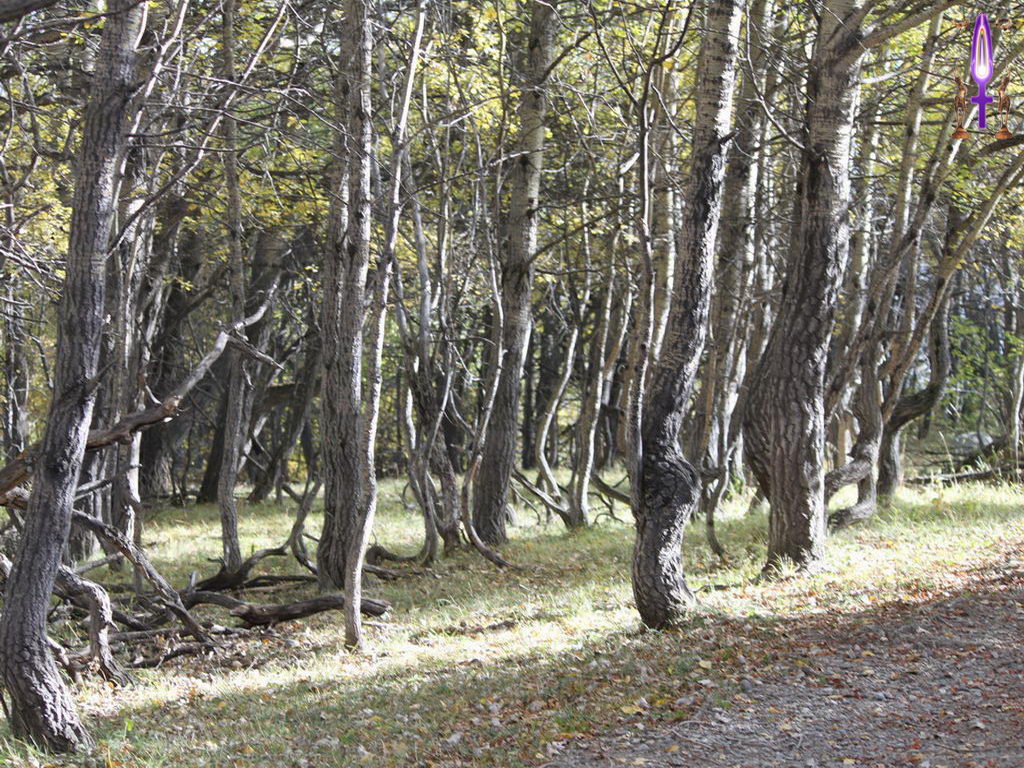 Croix de Lumière, Photo de la Série L No 69 