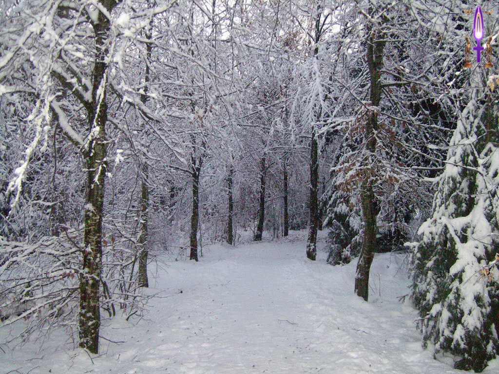 Croix de Lumière, Photo de la Série L No 71 