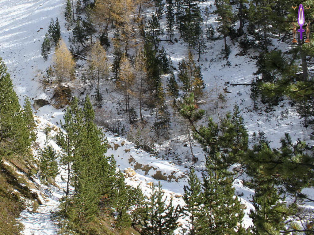 Croix de Lumière, Photo de la Série L No 72 