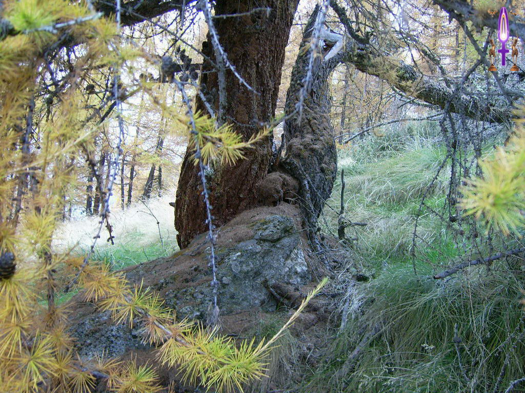 Croix de Lumière, Photo de la Série L No 73 