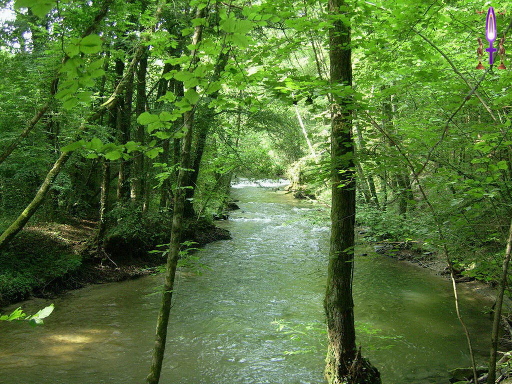 Croix de Lumière, Photo de la Série L No 75 