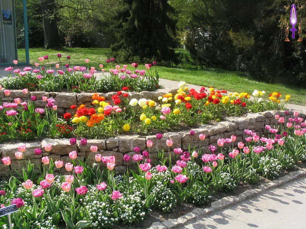 Croix de Lumière, Photo de la Série L No 76 
