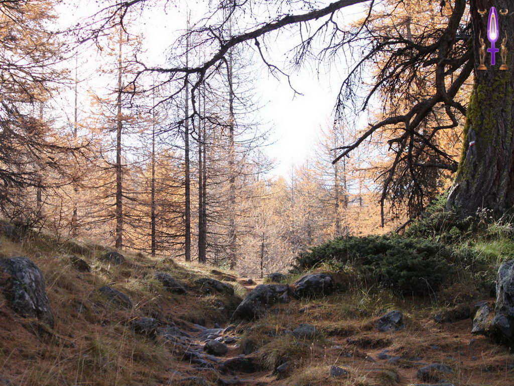 Croix de Lumière, Photo de la Série L No 79 