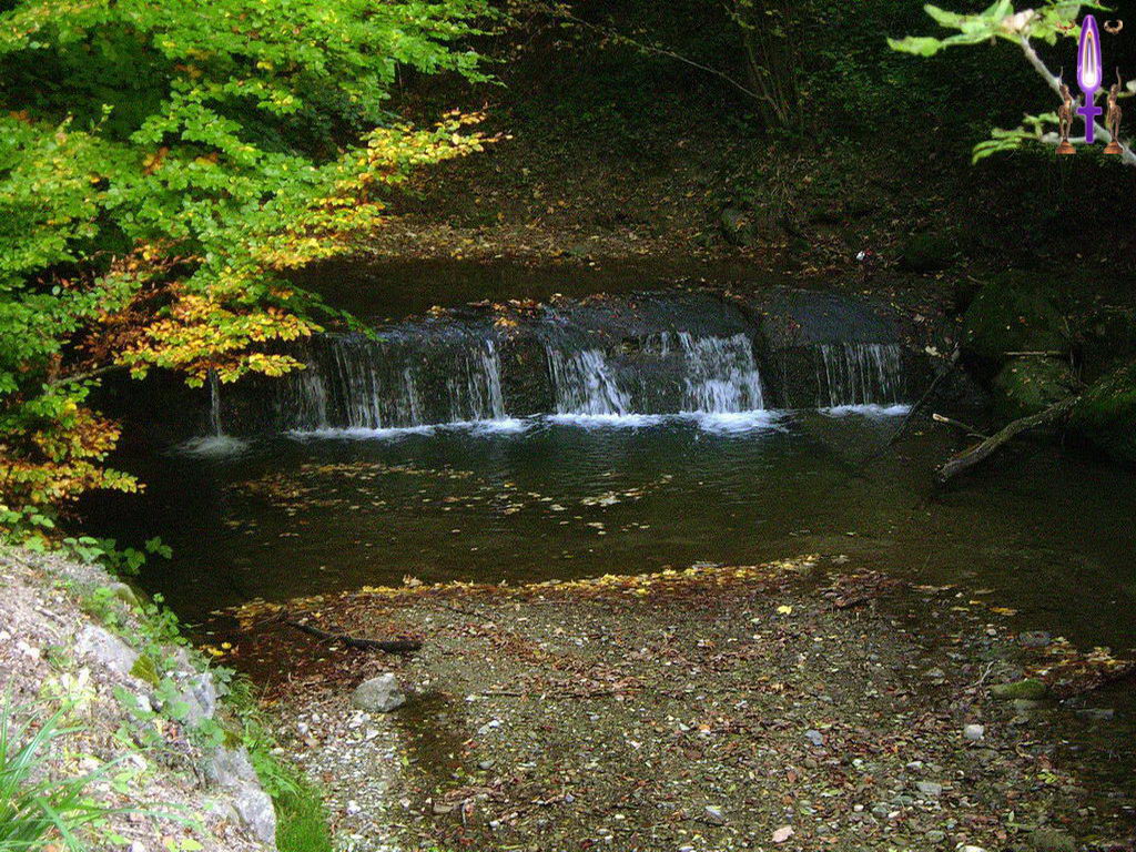Croix de Lumière, Photo de la Série L No 82 