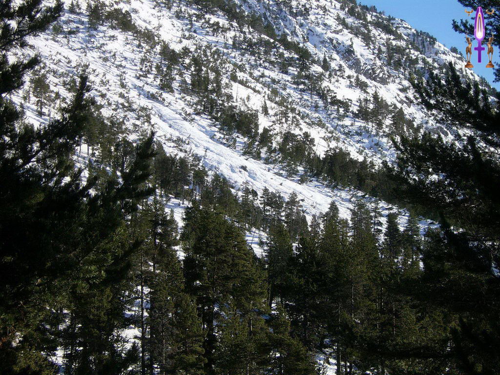 Croix de Lumière, Photo de la Série L No 83 