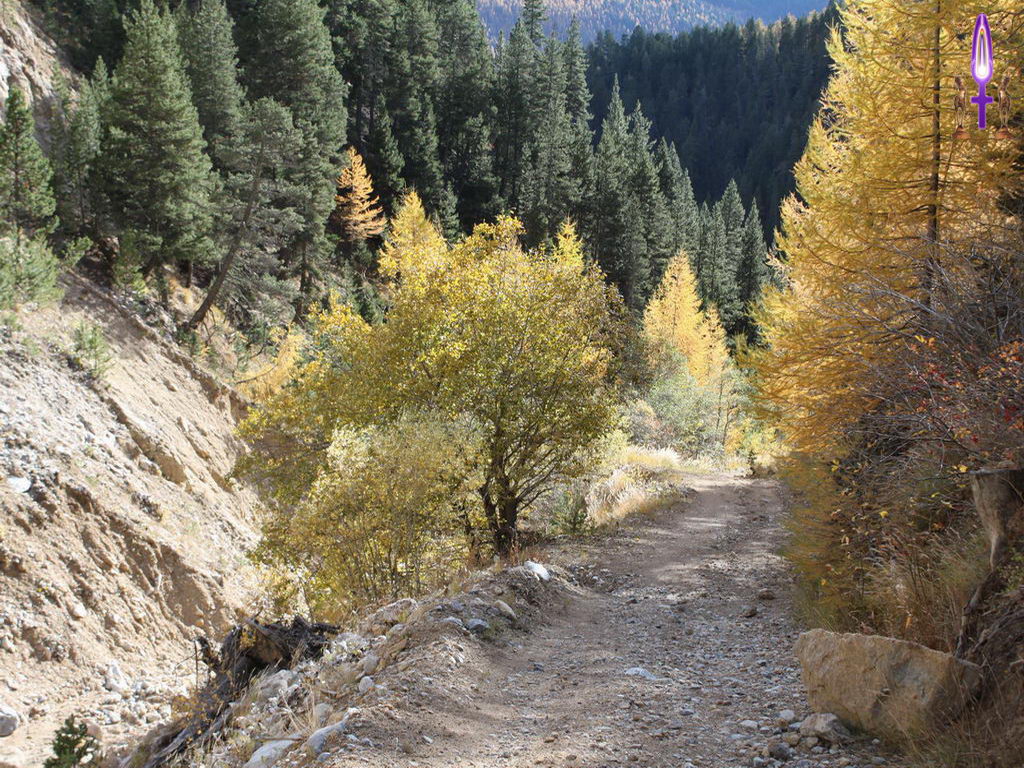 Croix de Lumière, Photo de la Série L No 84 