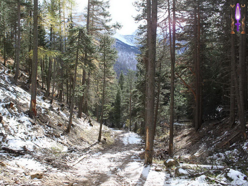 Croix de Lumière, Photo de la Série L No 86 