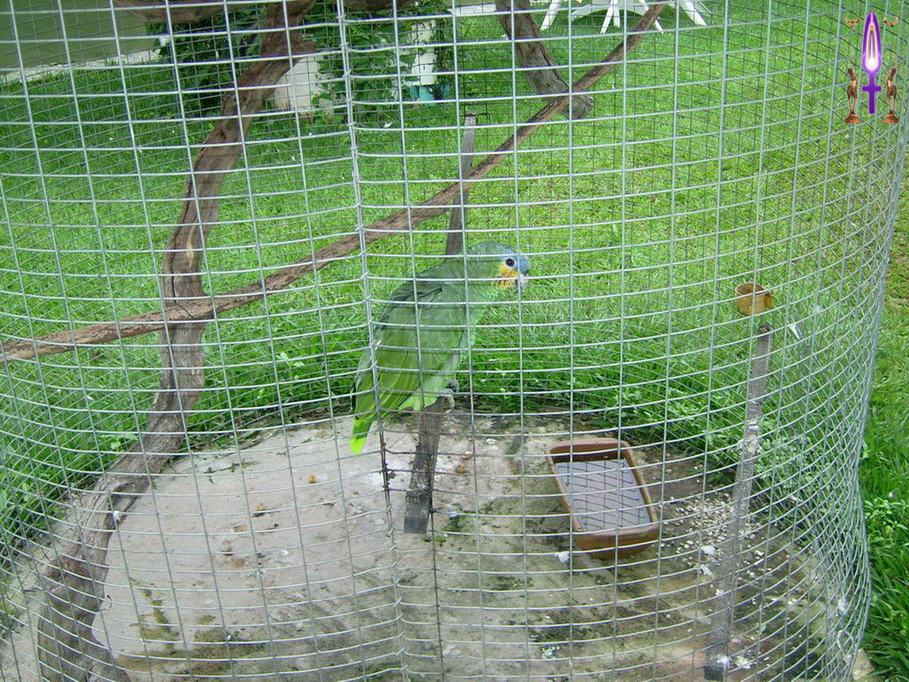 Croix de Lumière, Photo de la Série L No 89 