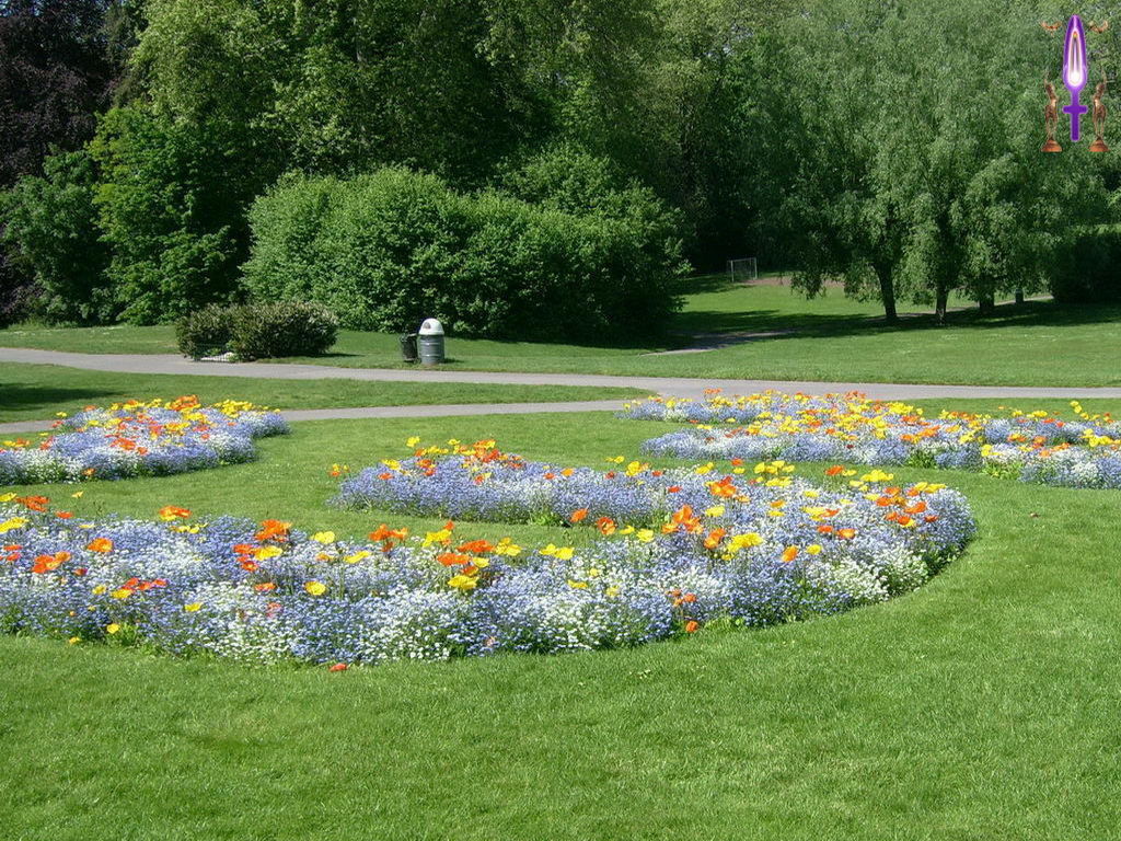 Croix de Lumière, Photo de la Série L No 92 