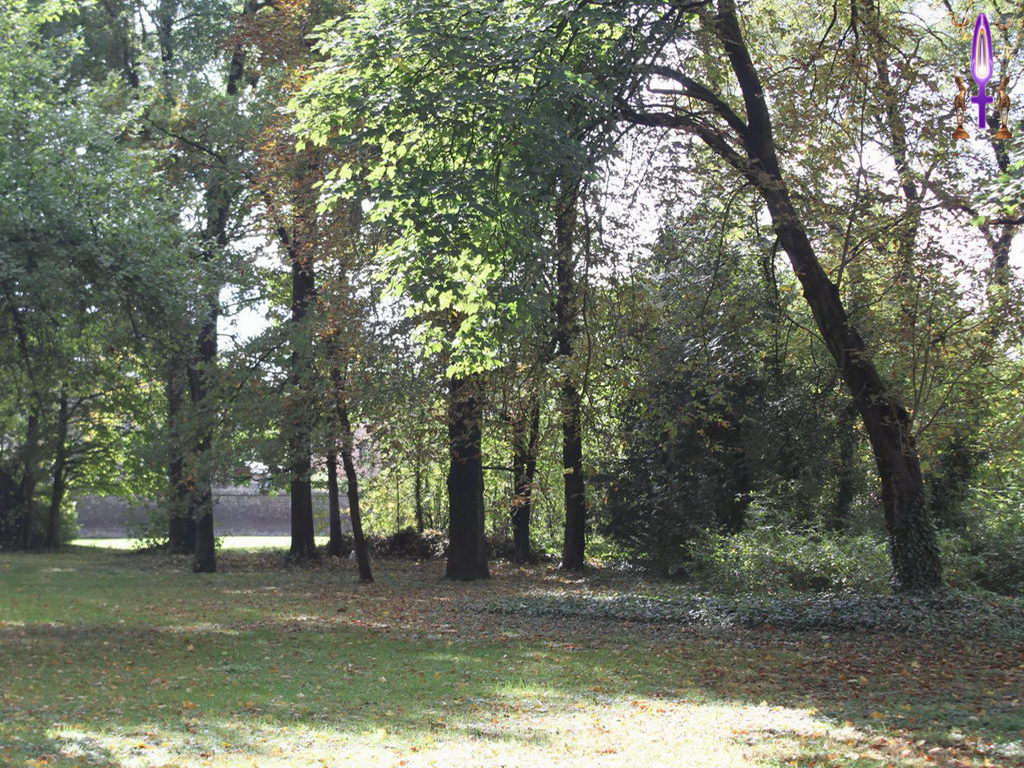 Croix de Lumière, Photo de la Série L No 100 