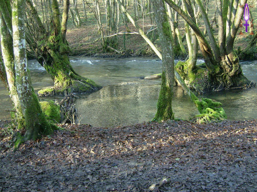 Croix de Lumière, Photo de la Série L No 101 