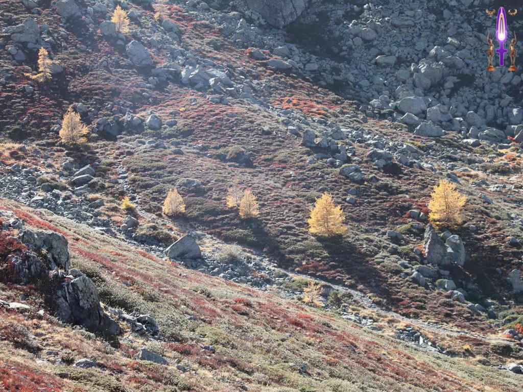 Croix de Lumière, Photo de la Série L No 102 