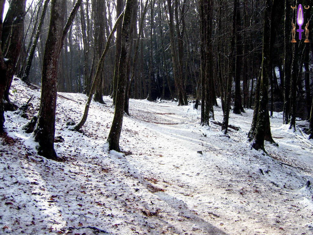 Croix de Lumière, Photo de la Série L No 108 