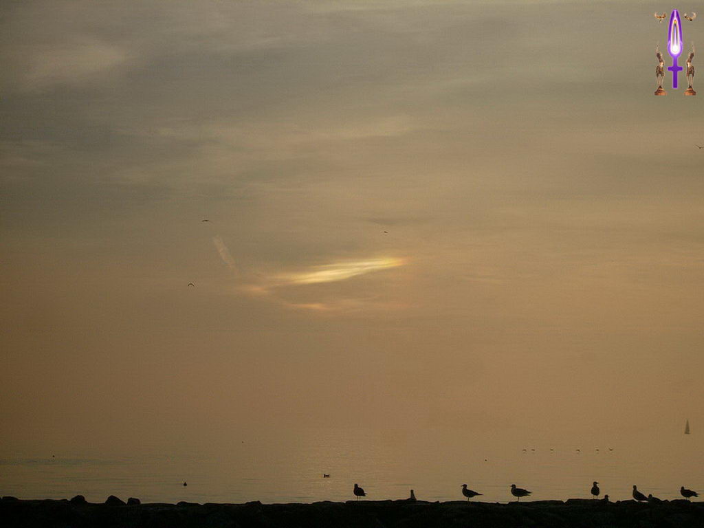 Croix de Lumière, Photo de la Série M No 5 