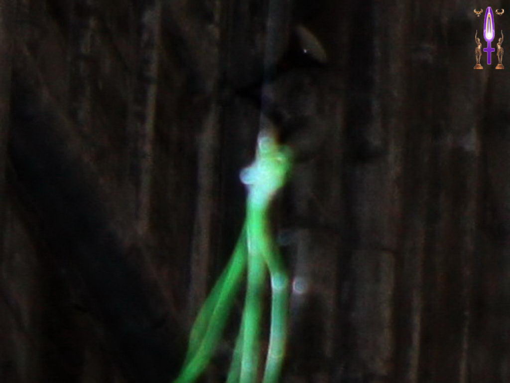 Croix de Lumière, Photo de la Série M No 12 