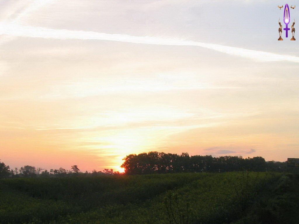Croix de Lumière, Photo de la Série M No 20 