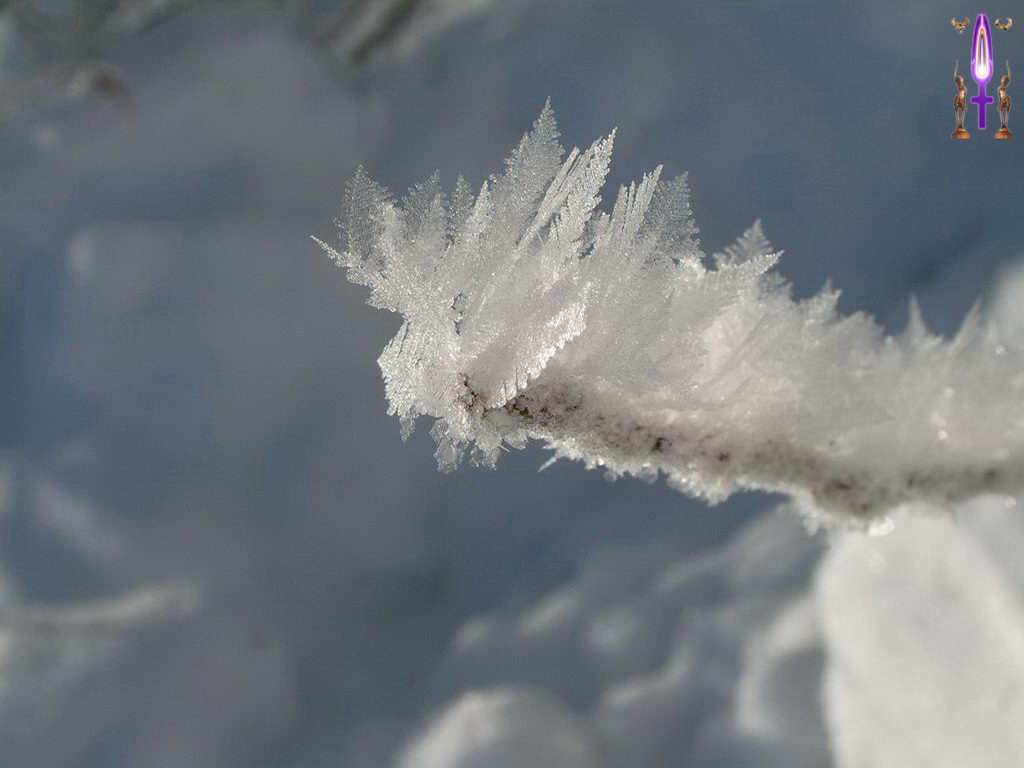 Croix de Lumière, Photo de la Série M No 57 