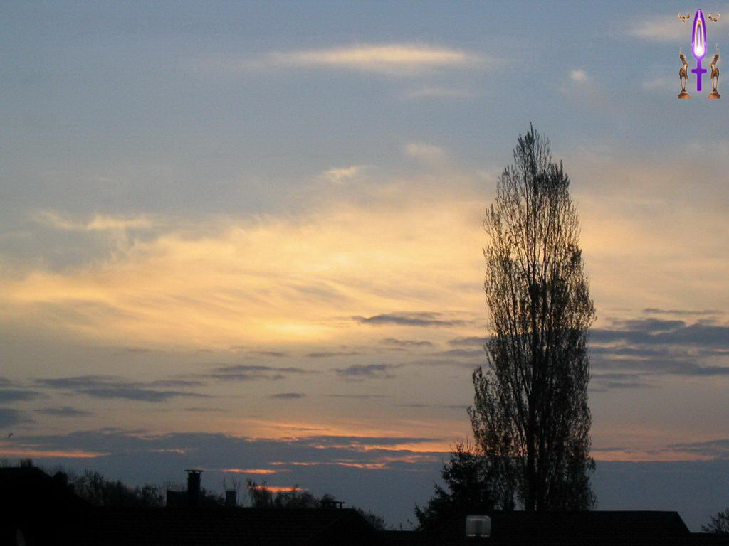 Croix de Lumière, Photo de la Série M No 010 