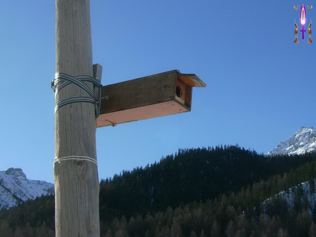 Croix de Lumière, Photo de la Série M No 81 
