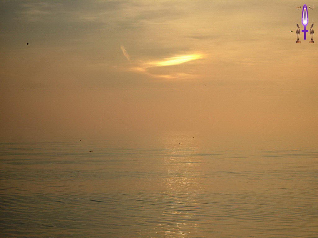 Croix de Lumière, Photo de la Série M No 82 