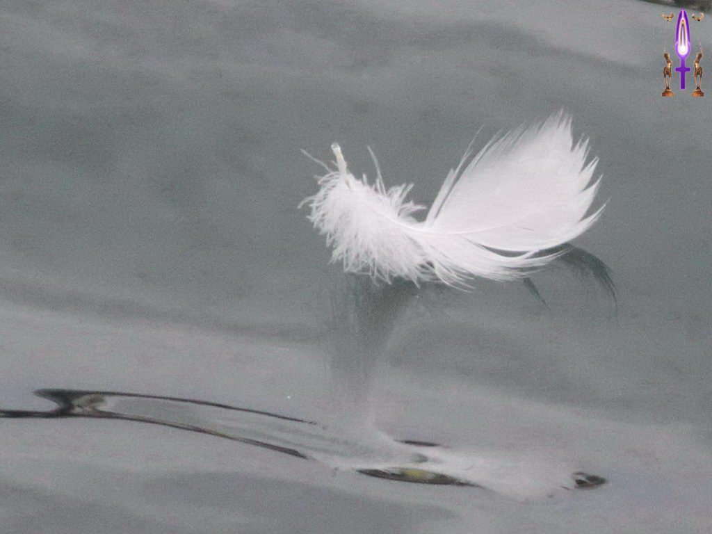 Croix de Lumière, Photo de la Série M No 89 