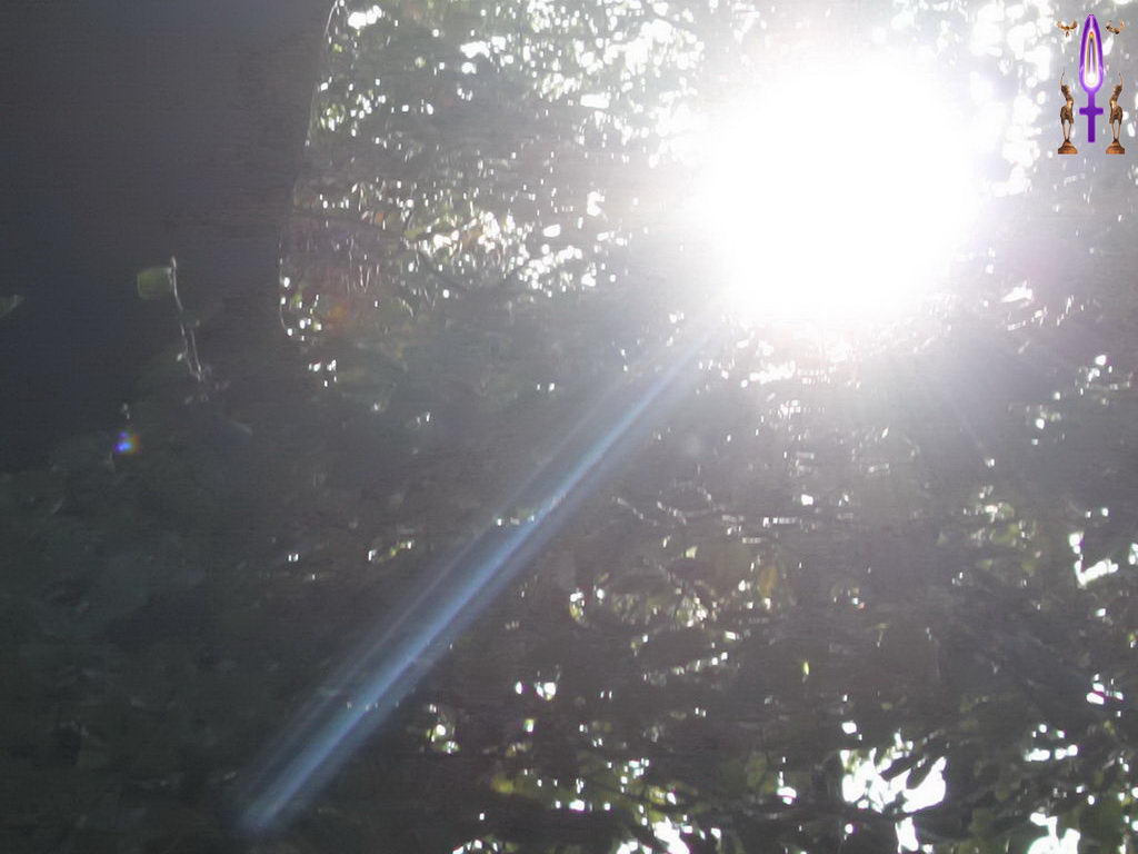 Croix de Lumière, Photo de la Série M No 100 