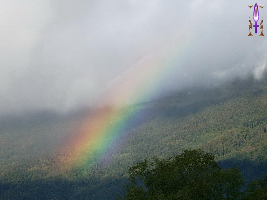 Croix de Lumière, Photo de la Série M No 101 