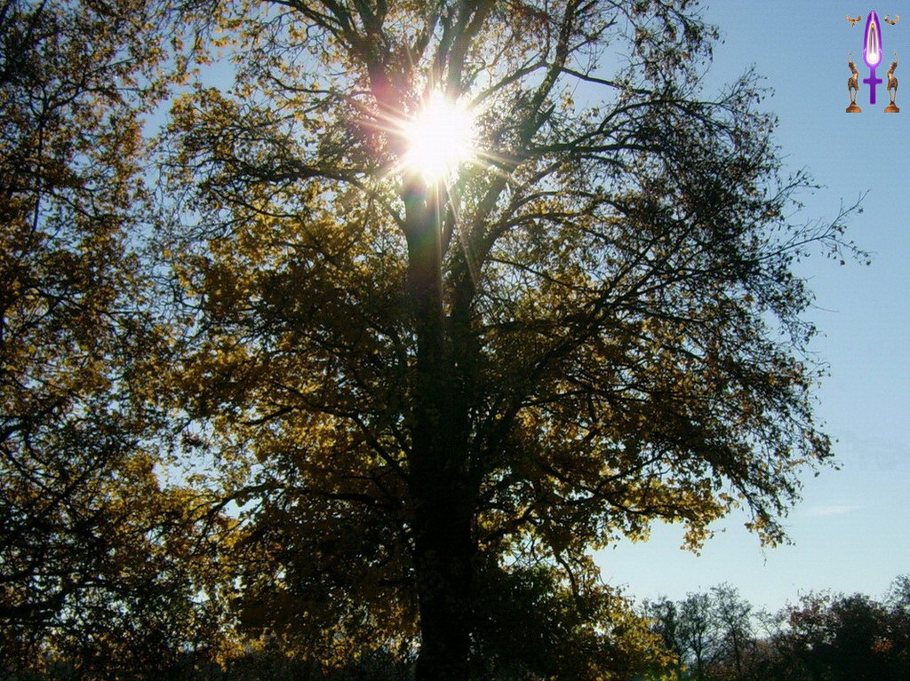 Album Magique d'Isapierre, Episode No 1 : Vers un Chemin de Lumière...